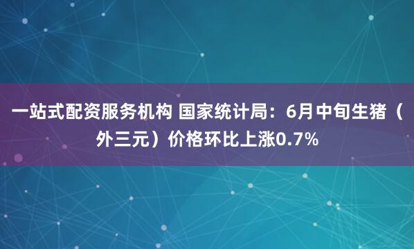 一站式配资服务机构 国家统计局：6月中旬生猪（外三元）价格环比上涨0.7%